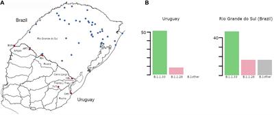 Recurrent Dissemination of SARS-CoV-2 Through the Uruguayan–Brazilian Border